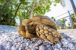 Ibis Bay Beach Resort