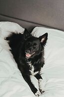 PURO Wrocław Stare Miasto