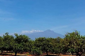 Voyager Ziwani Tented Camp