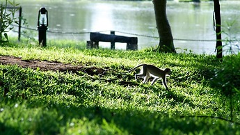 Voyager Ziwani Tented Camp