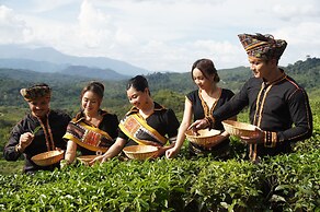 Sabah Tea Resort
