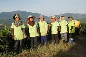 Sabah Tea Resort