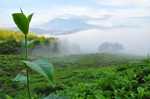 Sabah Tea Resort