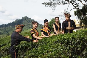 Sabah Tea Resort