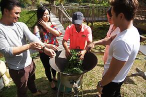 Sabah Tea Resort