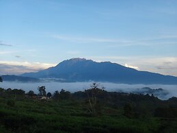 Sabah Tea Resort
