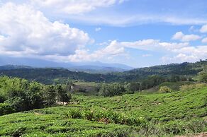 Sabah Tea Resort