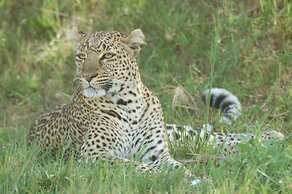 Mara Intrepids Tented Camp