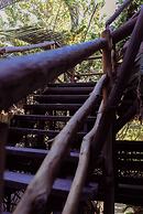 Villas Tiburon Adults only