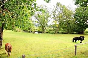 Reethäuser auf Rügen