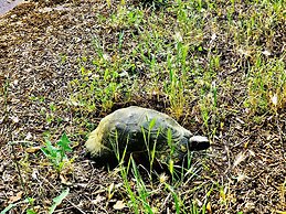 Liscia Country Relais