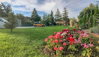 Hotel Satu Mare City