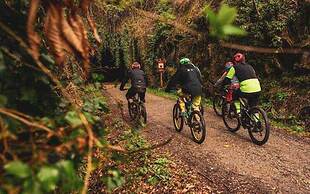 Casas Rurales Acebuche