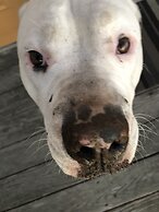 Bayfront Inn at the Waterfront