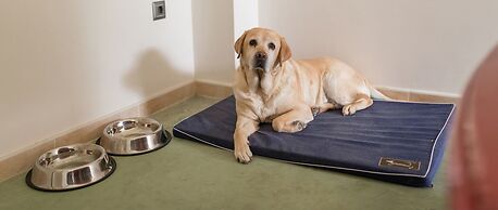 Hotel Spa Norat Torre do Deza