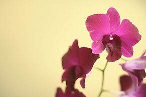 Lee Boutique Hotel Tagaytay