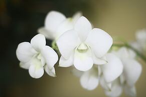 Lee Boutique Hotel Tagaytay