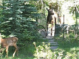 Riversong Inn Retreat