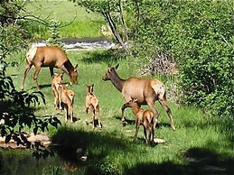 Riversong Inn Retreat