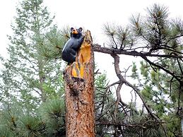 Riversong Inn Retreat