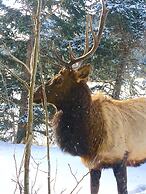 Riversong Inn Retreat