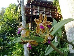 Porto Pousada Saco da Capela