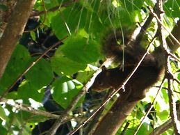 Porto Pousada Saco da Capela