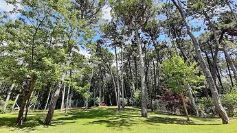 Hotel & Wellness Fra i Pini