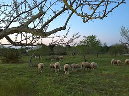 Hotel Rural Es Turó