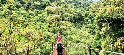 Tree Trek Boquete Adventure Park