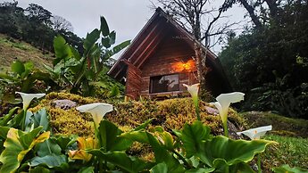 Tree Trek Boquete Adventure Park