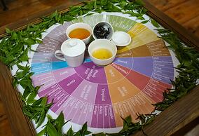 Tree Trek Boquete Adventure Park