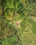 Tree Trek Boquete Adventure Park