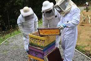 Tree Trek Boquete Adventure Park