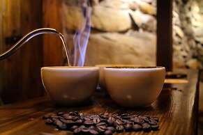 Tree Trek Boquete Adventure Park