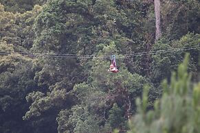 Tree Trek Boquete Adventure Park