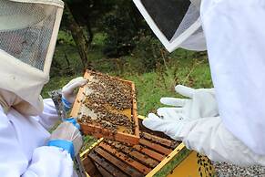 Tree Trek Boquete Adventure Park