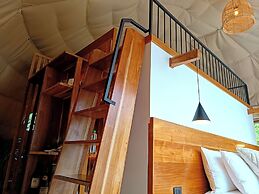 Tree Trek Boquete Adventure Park