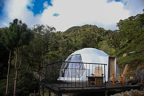 Tree Trek Boquete Adventure Park