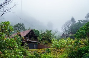 Tree Trek Boquete Adventure Park