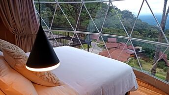 Tree Trek Boquete Adventure Park