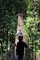 Tree Trek Boquete Adventure Park
