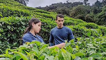 Tree Trek Boquete Adventure Park