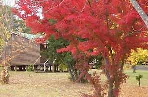 Madison's Mountain Retreat