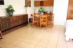 Hotel Bosque Caribe , 5th Av Zone