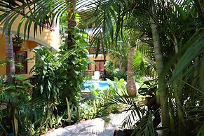 Hotel Bosque Caribe , 5th Av Zone