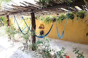 Hotel Bosque Caribe , 5th Av Zone