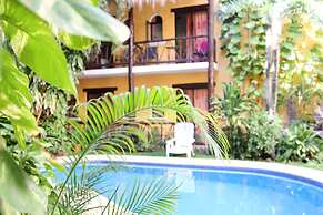 Hotel Bosque Caribe , 5th Av Zone