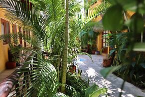 Hotel Bosque Caribe , 5th Av Zone