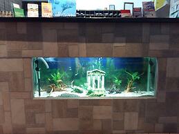 Sparta Team Hotel - Hostel